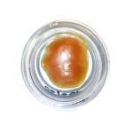 Blueberry Muffin OG Kush 16 to 24%