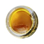 Gary Payton Source Diamonds 75% 