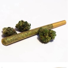 Indica Pre-Rolls